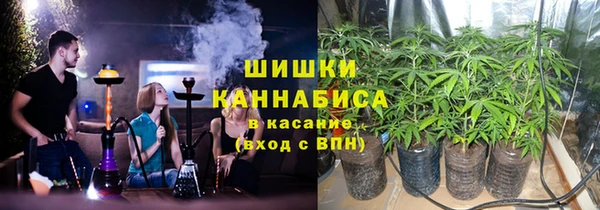 шишки Волосово