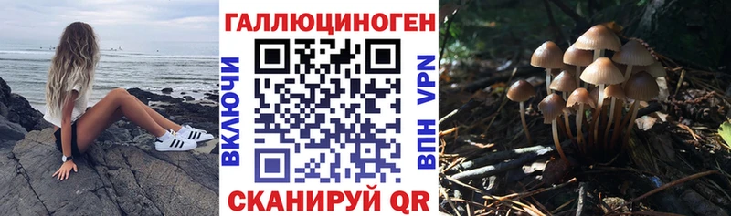 Псилоцибиновые грибы мицелий  Купить закладки  Губкинский 